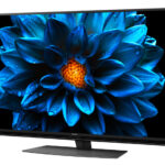 2022年おすすめテレビ シャープ 50型液晶テレビ AQUOS 4K 4T-C50DN2
