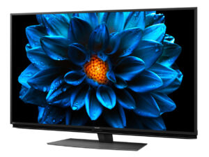 2022年おすすめテレビ シャープ 50型液晶テレビ AQUOS 4K 4T-C50DN2